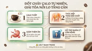 Cà phê sữa tươi không đường bao nhiêu calo? Uống sao cho chuẩn vóc dáng?