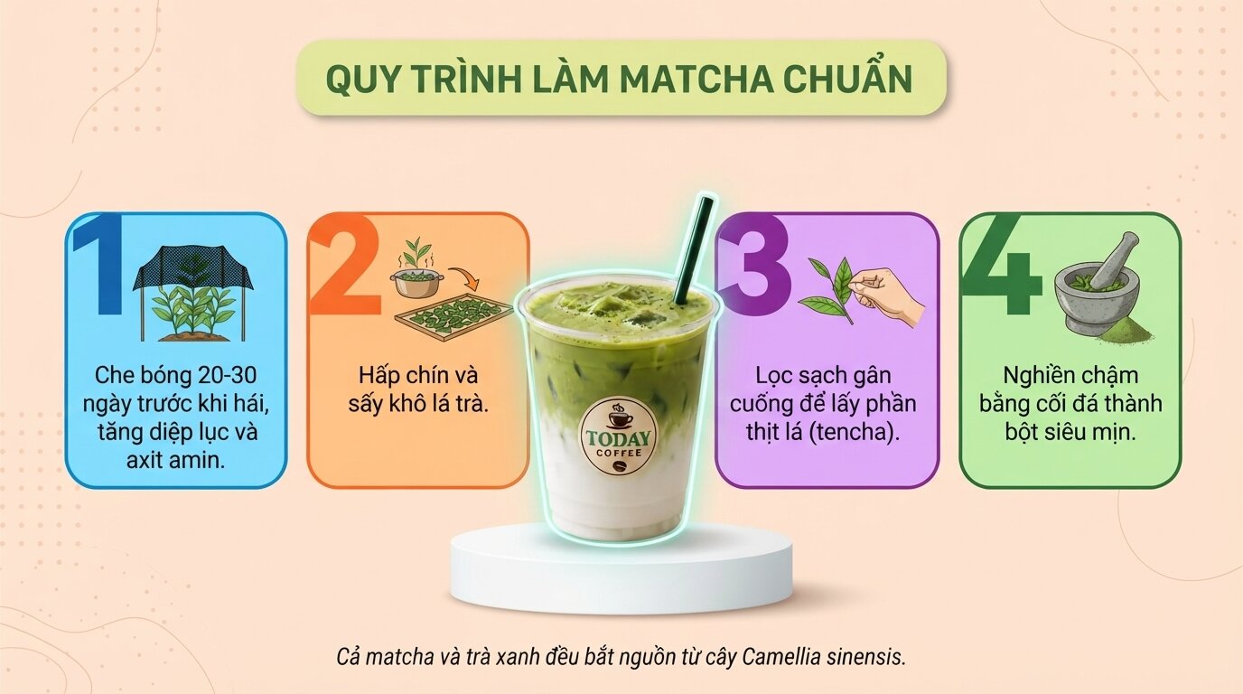 Giải đáp câu hỏi matcha có phải trà xanh không - tự tin lựa chọn sản phẩm chuẩn. Giải đáp câu hỏi matcha có phải trà xanh không - tự tin lựa chọn sản phẩm chuẩn.