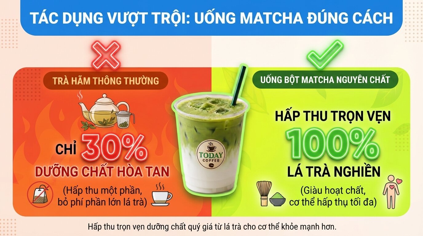 Hấp thu trọn vẹn dưỡng chất quý giá từ lá trà cho cơ thể khỏe mạnh hơn. Hấp thu trọn vẹn dưỡng chất quý giá từ lá trà cho cơ thể khỏe mạnh hơn.