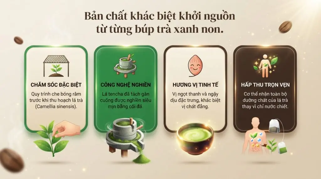Matcha có phải trà xanh không và cách phân biệt chính xác