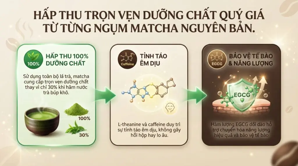 Matcha có phải trà xanh không và cách phân biệt chính xác