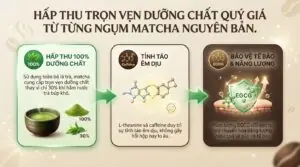 Matcha có phải trà xanh không và cách phân biệt chính xác