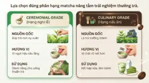 Matcha có phải trà xanh không và cách phân biệt chính xác