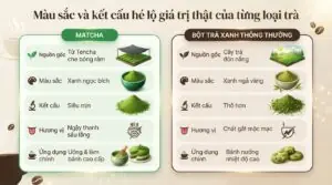 Matcha có phải trà xanh không và cách phân biệt chính xác