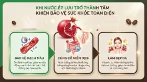 Nhóm người dùng thuốc tim mạch hoặc huyết áp thấp nên kiêng nước ép lựu.