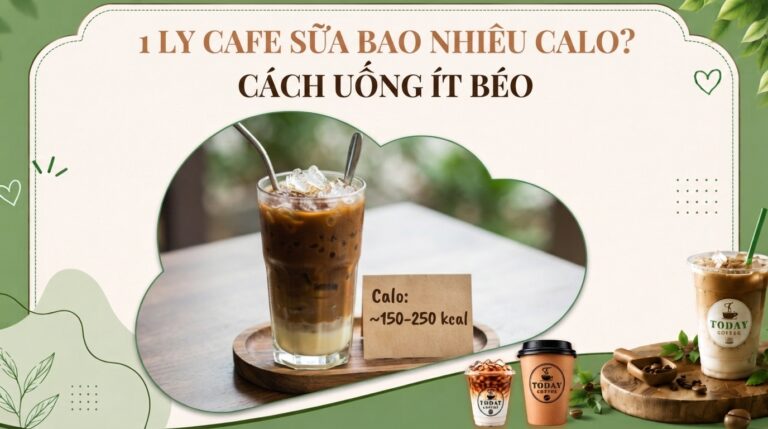 1 ly cafe sữa bao nhiêu calo? Cách uống cafe sữa ít béo