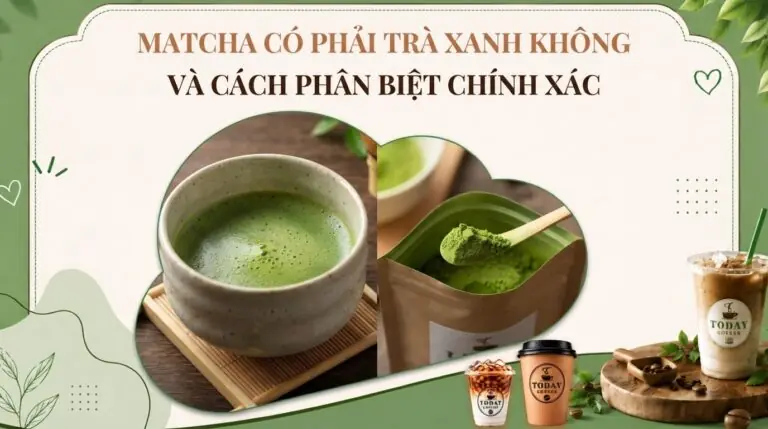 Matcha có phải trà xanh không và cách phân biệt chính xác
