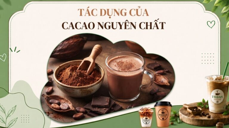 Tác dụng của cacao nguyên chất và cách sử dụng đúng khoa học cho sức khỏe