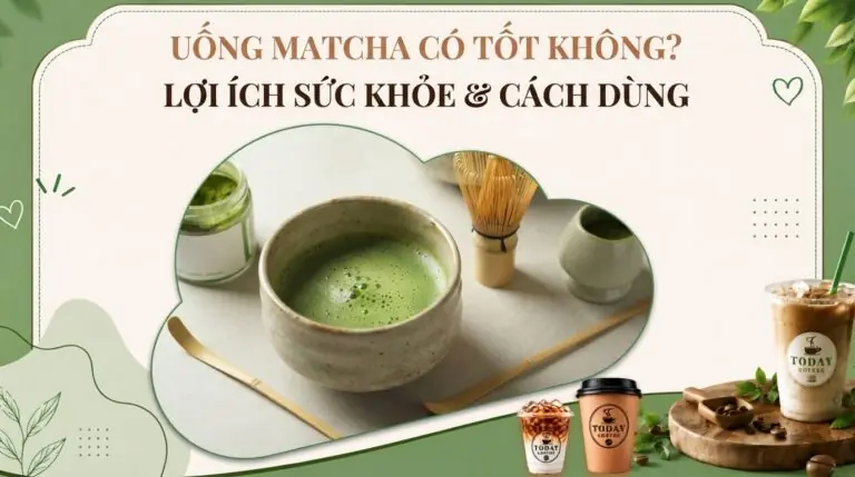 Uống matcha có tốt không? Lợi ích sức khỏe, cách dùng và lưu ý cần biết