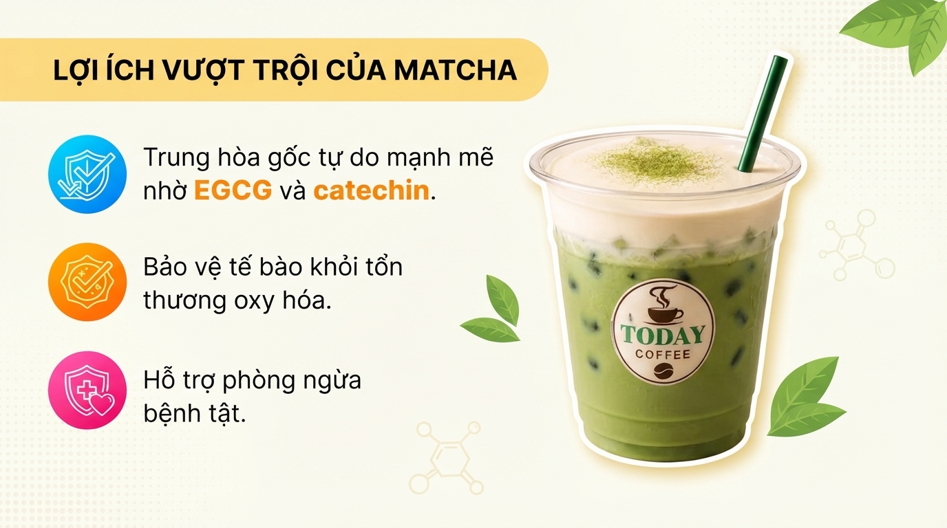 Sức mạnh từ EGCG giúp bảo vệ từng tế bào cơ thể, đẩy lùi quá trình oxy hóa từ sâu bên trong. Sức mạnh từ EGCG giúp bảo vệ từng tế bào cơ thể, đẩy lùi quá trình oxy hóa từ sâu bên trong.