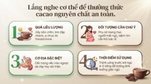 Tác dụng của cacao nguyên chất và cách sử dụng đúng khoa học cho sức khỏe