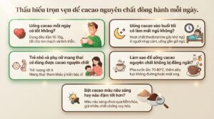 Tác dụng của cacao nguyên chất và cách sử dụng đúng khoa học cho sức khỏe