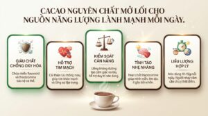Tác dụng của cacao nguyên chất và cách sử dụng đúng khoa học cho sức khỏe
