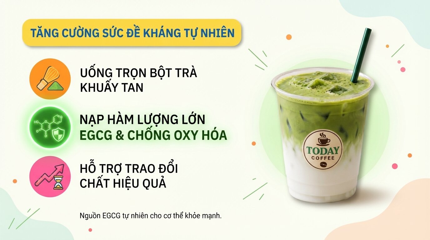 Tăng cường sức đề kháng tự nhiên nhờ hoạt chất EGCG dồi dào từ bột matcha. Tăng cường sức đề kháng tự nhiên nhờ hoạt chất EGCG dồi dào từ bột matcha.