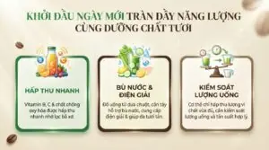 Tỷ lệ 80% rau xanh giúp hạn chế tối đa lượng đường fructose nạp vào cơ thể.