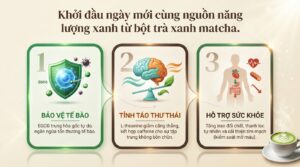 Uống bột trà xanh matcha có tốt không? Khám phá tác dụng và lưu ý