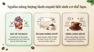 Uống cacao có béo không? Cách thưởng thức đúng cách tránh tăng cân