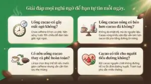 Uống cacao có béo không? Cách thưởng thức đúng cách tránh tăng cân