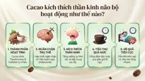 Uống cacao có mất ngủ không? Giải mã sự thật về thức uống yêu thích