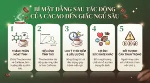 Uống cacao có mất ngủ không? Giải mã sự thật về thức uống yêu thích