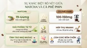 Uống matcha có mất ngủ không? Cách thưởng thức trọn vẹn cho sức khỏe