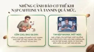 Uống matcha có mất ngủ không? Cách thưởng thức trọn vẹn cho sức khỏe