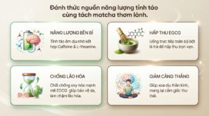 Uống matcha có tốt không? Lợi ích sức khỏe, cách dùng và lưu ý cần biết