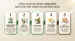 Uống matcha có tốt không? Lợi ích sức khỏe, cách dùng và lưu ý cần biết
