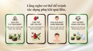 Uống matcha có tốt không? Lợi ích sức khỏe, cách dùng và lưu ý cần biết