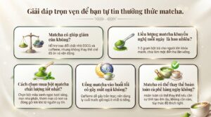 Uống matcha có tốt không? Lợi ích sức khỏe, cách dùng và lưu ý cần biết