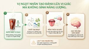 Vị ngọt nhân tạo kích hoạt não bộ tăng tiết hormone gây cảm giác thèm ăn bù đắp.